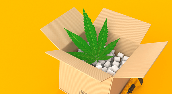 The Future of Cannabis Packaging to 2024 | Market Report, Trends and Data |  Smithers