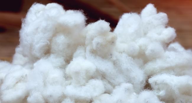 The Future of Fluff Pulp to 2025 | Market Reports and Trends | Smithers